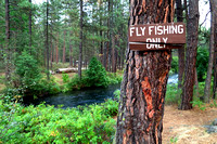 Fly Fishing Only