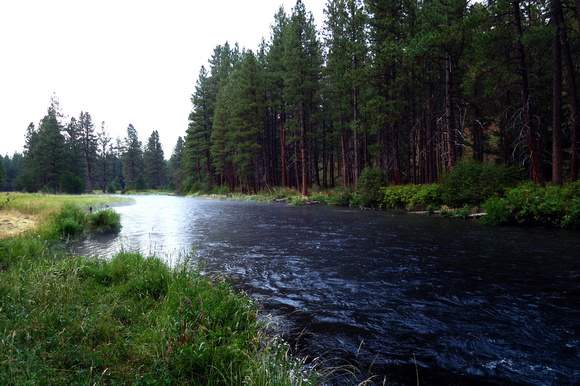 Evening view of river