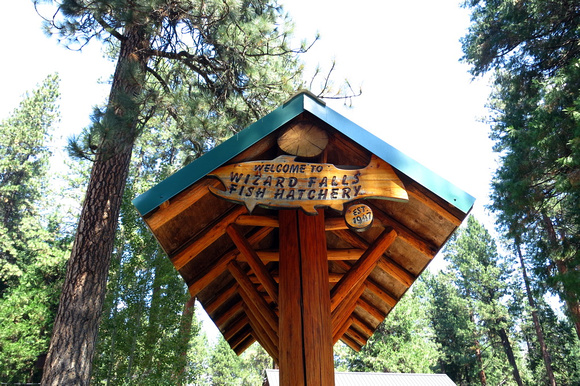 Fish Hatchery