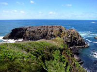 Yaquina Head