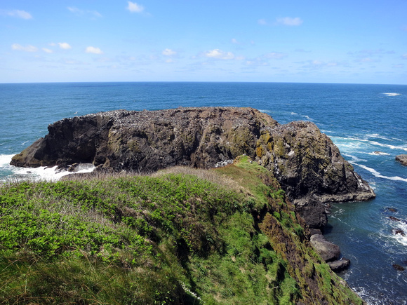Yaquina Head