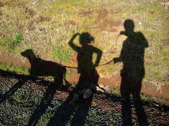 Searching for the Trail