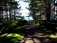 Lighthouse Path