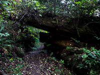 Beach Trail