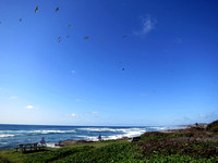 Yachats Shoreline