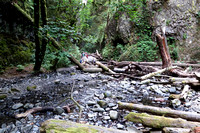 Creek Bed