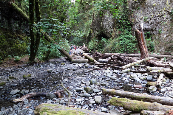 Creek Bed